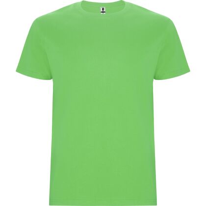 Елегантна мъжка тениска в светло зелено С2564-9