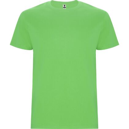 Мъжка светло зелена тениска гигант С2564-9НК